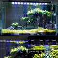 High Watt Aquarium LED -lichten 1W LED